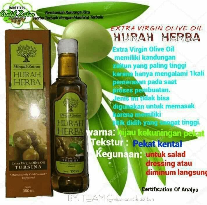 Minyak zaitun thursina